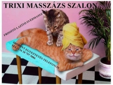 masszazs_szalon_masszor_mezokovesd_01